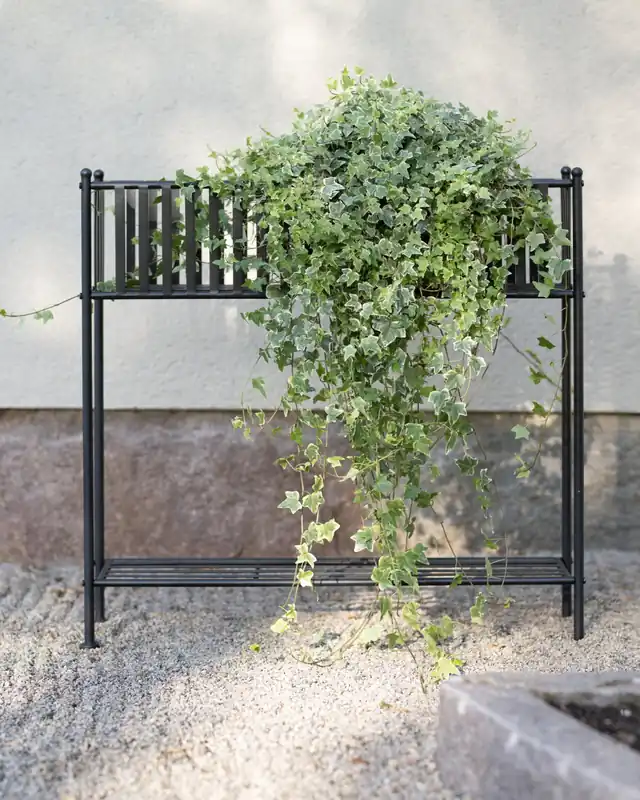 Toscana blomsterhylla svart Beställ nu