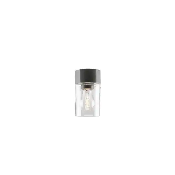 Begränsat antal Opus Taklampa/Vägglampa 100/175 Grå/Klarglas IP44