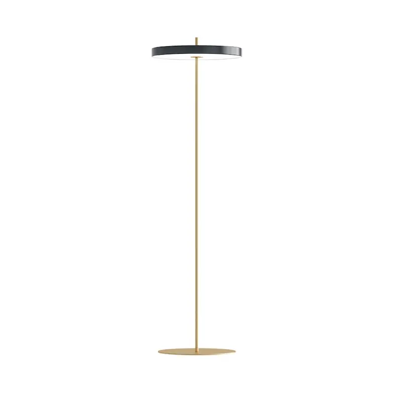 Asteria Golvlampa, Antracit Erbjudandepris