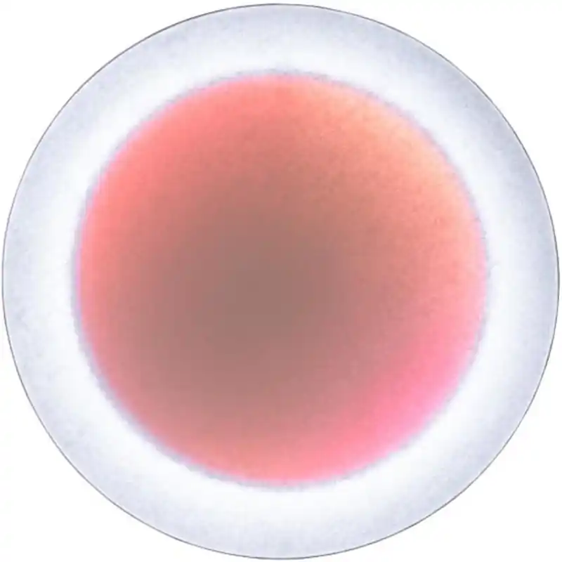 Rabatt MoodMoon Vägg-/Taklampa 85 cm, Röd