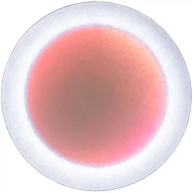 Bästa pris MoodMoon Vägg-/Taklampa 60 cm, Röd