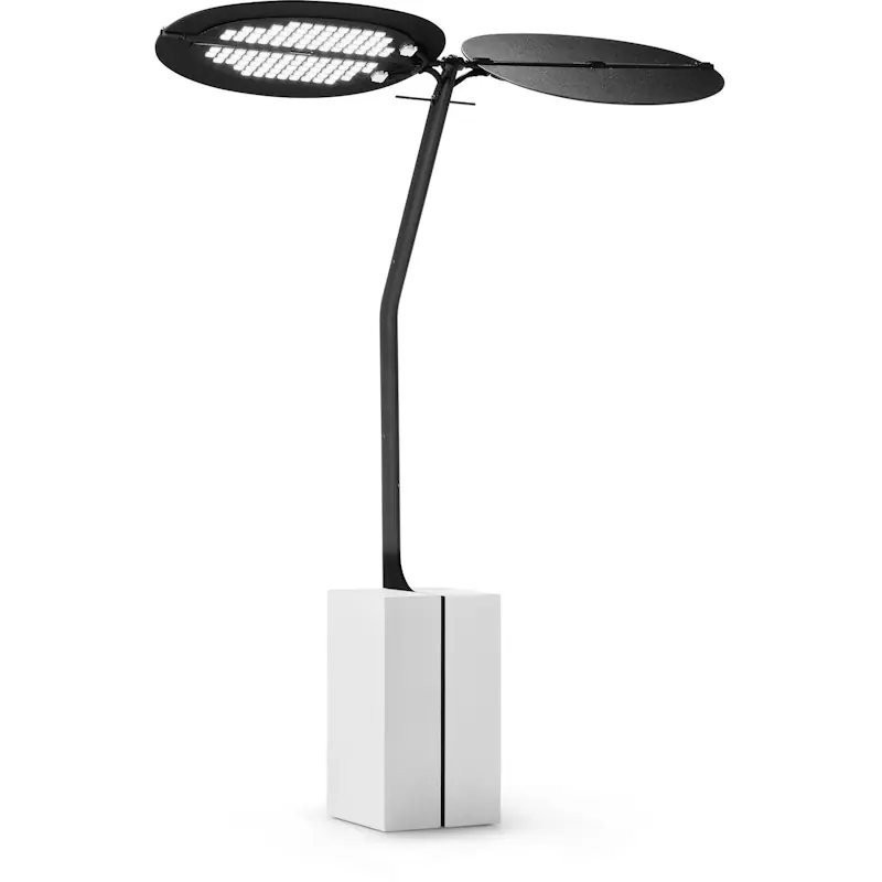 Sage Bordslampa Portabel Billig